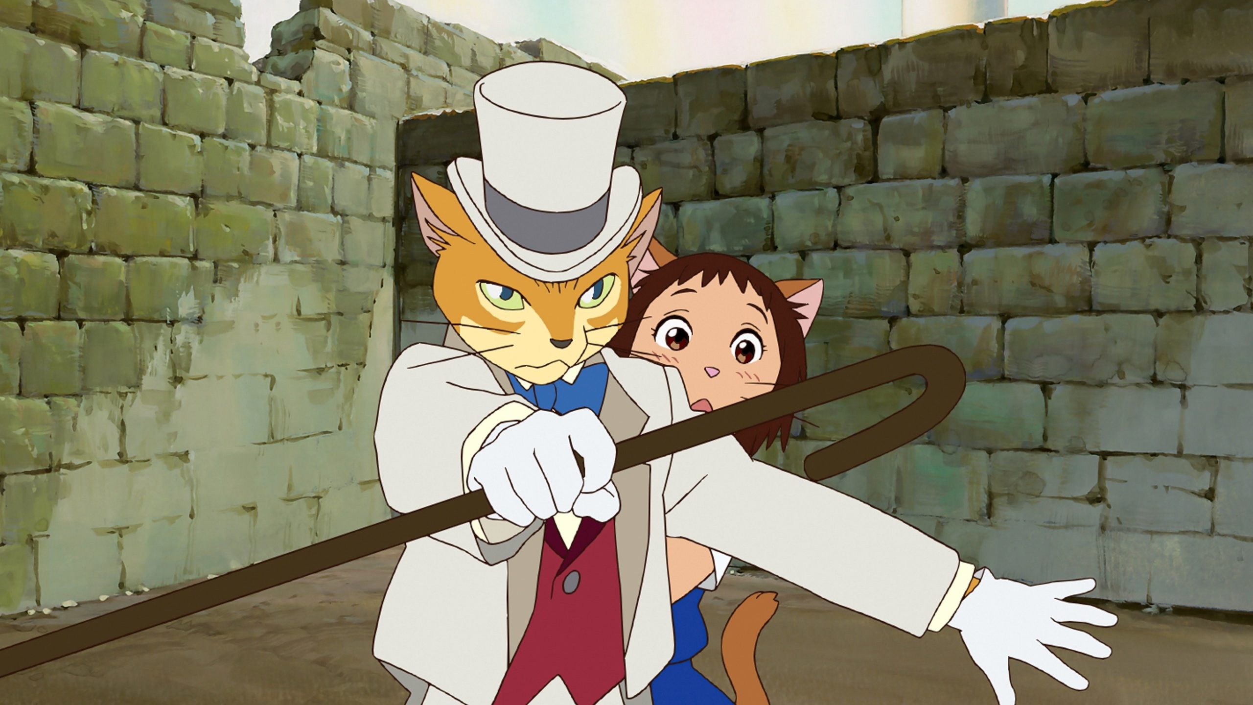 Le royaume des chats